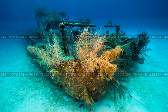 A view of the Doc Polson shipwreck in Grand Cayman, Cayman Islands. Jennifer Idol/Stocktrek Images/TASS. Стоковое фото, агентство ТАСС / Фотобанк Лори