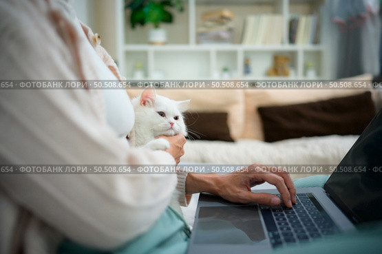 A young woman works at home while a white Persian cat snuggles alongside to encourage his master. Стоковое фото, агентство Ingram Publishing / Фотобанк Лори