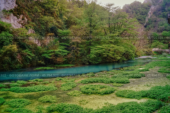 Абхазия (2021 год). Редакционное фото, фотограф Анна Каменева / Фотобанк Лори