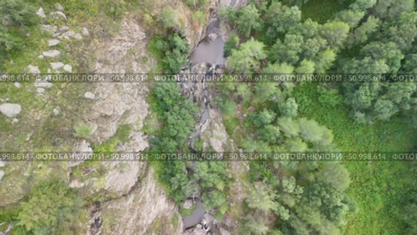 Aerial perspective of lush forest featuring diverse green trees and patches of lighter foliage, emphasizing the rich textures and vibrant colors of nature. Стоковое видео, видеограф Ирина Ручушкина / Фотобанк Лори