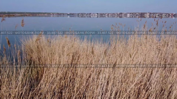 Aerial view, low flying through the reeds to the water, in the background the village. Copter moving backwards. Khadzhibey Estuary, Odessa region, Ukraine. Стоковое видео, видеограф Некрасов Андрей / Фотобанк Лори
