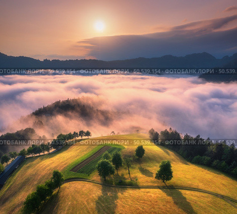 Aerial view of alpine meadows and mountains in pink low clouds at sunrise in autumn. Top drone view of hills with green grass and trees in fog, colorful sky at dawn in fall. Slovenia. Mountain valley . Стоковое фото, агентство Ingram Publishing / Фотобанк Лори