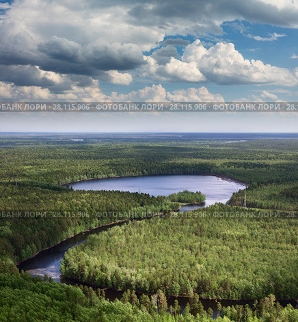 Aerial view on the lake in forest. Стоковое фото, фотограф Владимир Мельников / Фотобанк Лори