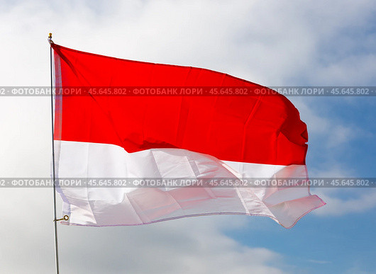 Against background of cloudy sky, white-red Monegasque flag flutters on flagpole. Стоковое фото, фотограф Яков Филимонов / Фотобанк Лори