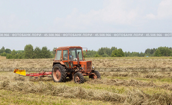 "Agricultural machinery in dusty field", "Tractor working on farmland", "Spring cultivation process", "Rural farming scene", Красный трактор с ворошилкой ворошит сено. Стоковое фото, фотограф Сергей Расторгуев / Фотобанк Лори