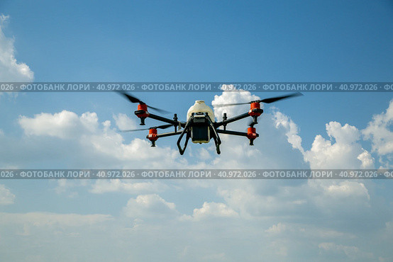 Agriculture drone fly to sprayed fertilizer on the fields. Industrial agriculture and smart farming. Стоковое фото, фотограф Ольга Сейфутдинова / Фотобанк Лори