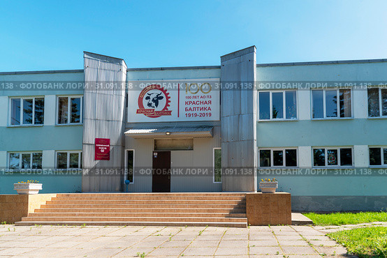 Акционерное общество "Племенной завод "Красная Балтика". Гостилицы, Ленинградская область (2019 год). Редакционное фото, фотограф Александр Щепин / Фотобанк Лори