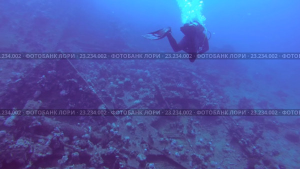 Аквалангист в Красном море. Стоковое видео, видеограф Некрасов Андрей / Фотобанк Лори
