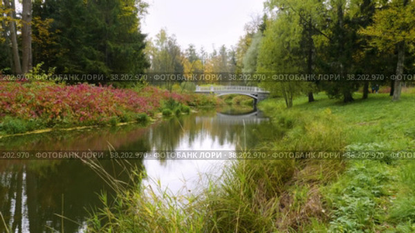 Александровский парк (Царское Село). Малый Ламский мост. Alexander Park (Tsarskoye Selo). Maly Lamsky Bridge. (2021 год). Редакционное видео, видеограф Евгений Романов / Фотобанк Лори