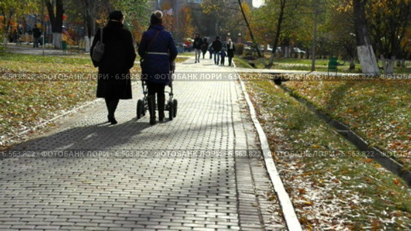 Аллея в парке (2014 год). Стоковое видео, видеограф Parmenov Pavel / Фотобанк Лори