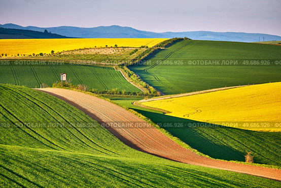 Amazing green and yellow rape spring fields Landscape. Agriculture Rural scene. Czech Moravia colza canola farmland bloom. Hunting box on Sunny waving hills. Minimalistic nature background. Стоковое фото, агентство Ingram Publishing / Фотобанк Лори