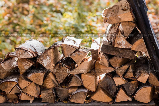 An eco-friendly, stylish area. Harvesting firewood for the winter. Birch firewood neatly stacked in a woodcutter. Стоковое фото, фотограф Photojuli / Фотобанк Лори