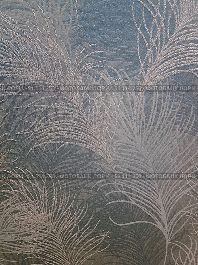 An elegant textured background with a sophisticated feather pattern. The relief ornament is made in light shades that shimmer beautifully against a soft bluish-gray background. The pattern resembles peacock or ostrich feathers, creating a feeling of lightness, airiness and sophistication. Such a surface can be used as wallpaper in the interior, decorative fabric or a design element. The photo is ideal for demonstrating textiles, wallpaper, decorative coatings and abstract backgrounds for design projects. Стоковое фото, фотограф Анна Кривицкая / Фотобанк Лори