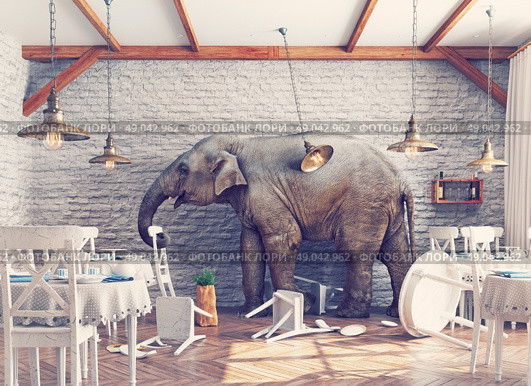 an elephant calm in a restaurant interior. photo combination concept. Стоковое фото, агентство Ingram Publishing / Фотобанк Лори