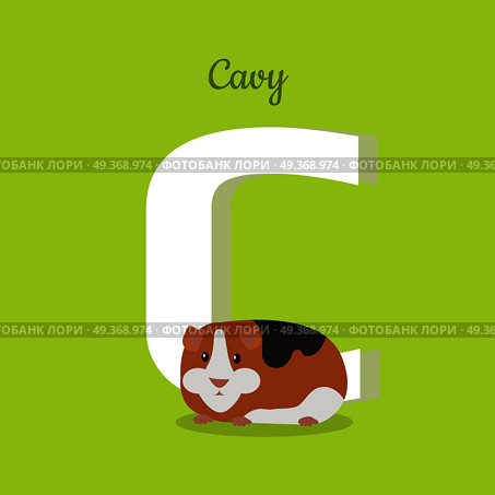 Animal alphabet vector concept. Flat style. Zoo ABC with domestic animal. Guinea pig lying on green background, letter C behind. Educational glossary. For children s books, textbooks illustrating. Animal Alphabet Concept in Flat Design. Animal Alphabet Concept in Flat Design. Стоковая иллюстрация, агентство Ingram Publishing / Фотобанк Лори