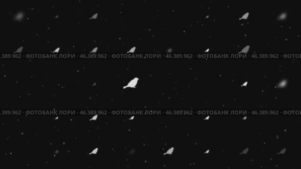 Анимация шаблона, состоящая из равномерно расположенных символов птицы-воробья разного размера и непрозрачности. Анимация прозрачности и размера. Бесшовная закольцованная анимация в формате 4k на черном фоне со звездами. Стоковое видео, видеограф Карпенко Алексей / Фотобанк Лори