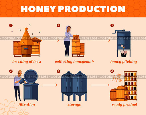 Apiary honey production cartoon flowchart poster from  bees breeding collecting honeycombs to storage infographic composition vector illustration . Honey Production Process Cartoon Flowchart . Стоковая иллюстрация, агентство Ingram Publishing / Фотобанк Лори