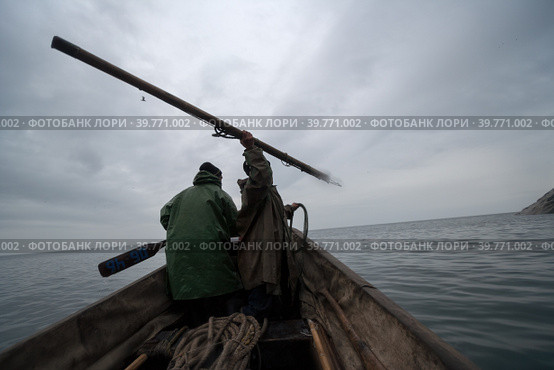 Арктические морские охотники охотятся на моржей и тюленей в Беринговом проливе. Традиционная чукотская охота на морского зверя с использованием гарпуна. Суровая северная природа. Окрестности мыса Дежнева, Чукотка, Дальний Восток России. Стоковое фото, фотограф Андрей Степанов / Фотобанк Лори