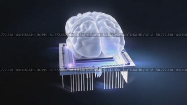 Artificial intelligence, human brain resting on microchip. Стоковое AI-видео, аниматор Юрий Поздников / Фотобанк Лори