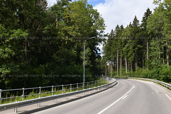 Asphalt road in a beautiful summer mixed forest. Стоковое фото, фотограф Володина Ольга / Фотобанк Лори