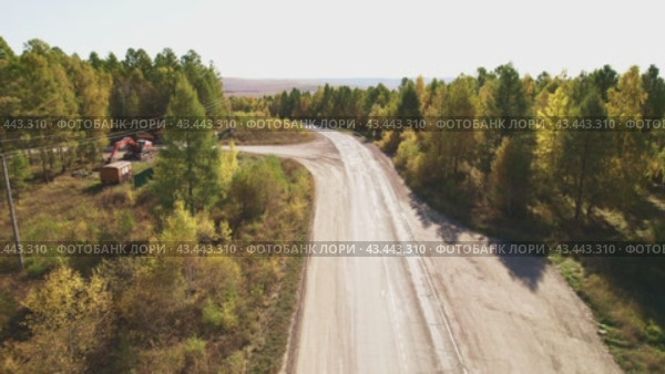 Asphalt roadway on a sunny autumn day. Road through autumn forest, aerial view. Стоковое видео, видеограф Виктория Тельминова / Фотобанк Лори