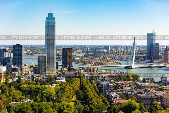 Attractive view of renowned Erasmusbrug (Swan Bridge) in Rotterdam in front of port and harbour, Netherlands. Стоковое фото, фотограф Яков Филимонов / Фотобанк Лори