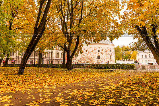 Autumn landscape in Vyborg with a view of the round tower from Lenin Park. Стоковое фото, фотограф Владимир Ушаров / Фотобанк Лори