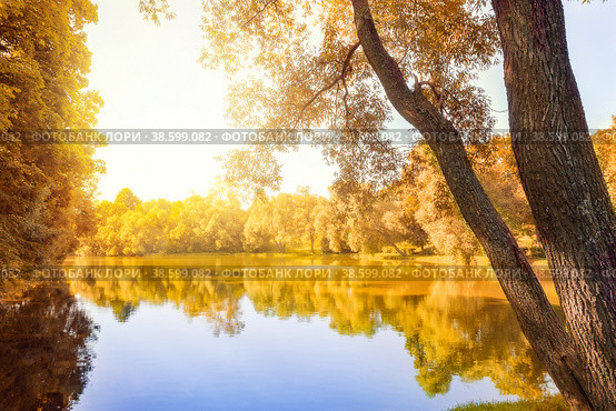 Autumn landscape of the forest in the park with water and reflection (2021 год). Редакционное фото, фотограф Светлана Качанова / Фотобанк Лори