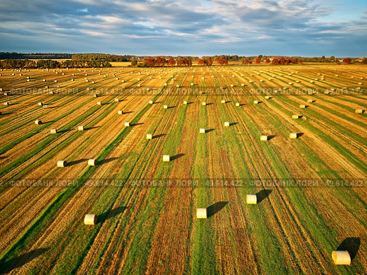 Autumn landscape, straw bales on agricultural field. Haystacks fall season aerial view. Morning rural Stubble view, Belarus, Europe. Стоковое фото, агентство Ingram Publishing / Фотобанк Лори