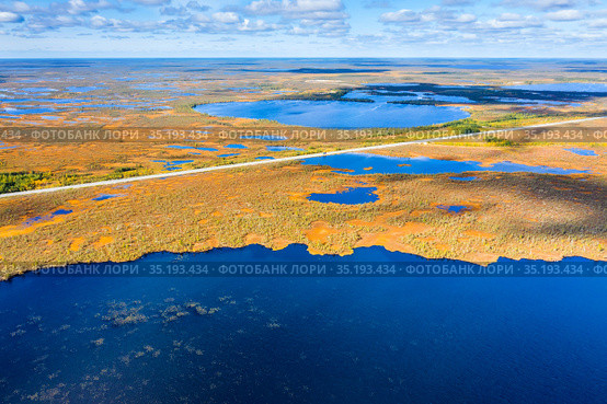 Autumn landscape. West Siberian Plain. Aerial view. Road through endless forests and swamps in Western Siberia. Стоковое фото, фотограф Икан Леонид / Фотобанк Лори