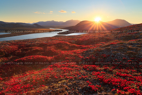 Autumn landscape with mountain, valley and lagoon views. The slopes of the hill are covered with scarlet arctous. Amazing sunset with sun rays over the mountains. Chukotka, Russia. Стоковое фото, фотограф Андрей Степанов / Фотобанк Лори