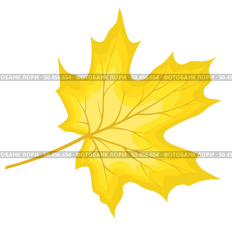 Autumn maple leaf. Fall leaf. Vector illustration. Стоковая иллюстрация, агентство Ingram Publishing / Фотобанк Лори