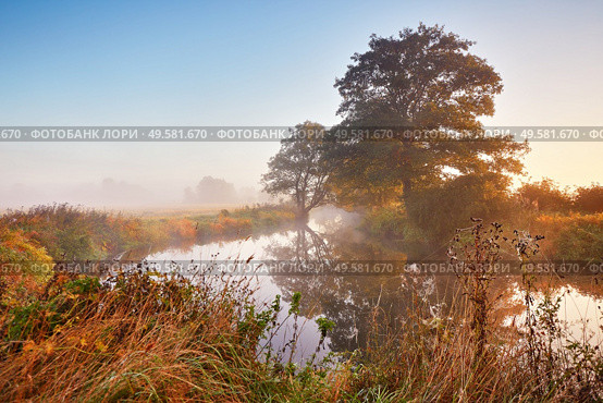 Autumn sunrise rural landscape. Fog on river. October fall calm morning misty scene. Alder, willow trees on riverbank, Belarus. Стоковое фото, агентство Ingram Publishing / Фотобанк Лори