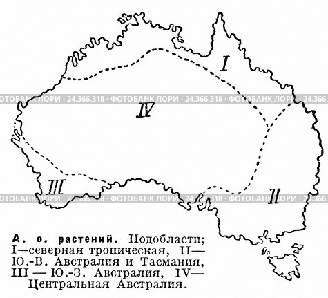 Австралийская область растений. Географическая карта. Стоковая иллюстрация, иллюстратор Макаров Алексей / Фотобанк Лори