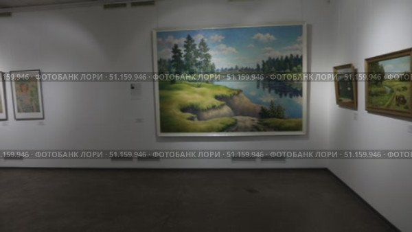 Балашиха панорама выставки с залами Наивного искусства (2021 год). Редакционное видео, видеограф Дмитрий Неумоин / Фотобанк Лори