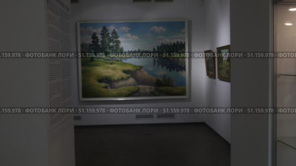 Балашиха панорама выставки с залами Наивного искусства (2021 год). Редакционное видео, видеограф Дмитрий Неумоин / Фотобанк Лори