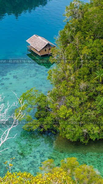 Bamboo Hut in Mangrove near Warikaf Homestay, Kabui Bay and Passage. Gam Island, West Papuan, Raja Ampat, Indonesia (2016 год). Стоковое фото, фотограф Igor Tichonow / Фотобанк Лори