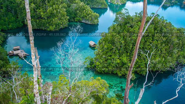 Bamboo Hut in Mangrove near Warikaf Homestay, Kabui Bay and Passage. Gam Island, West Papuan, Raja Ampat, Indonesia (2016 год). Стоковое фото, фотограф Igor Tichonow / Фотобанк Лори