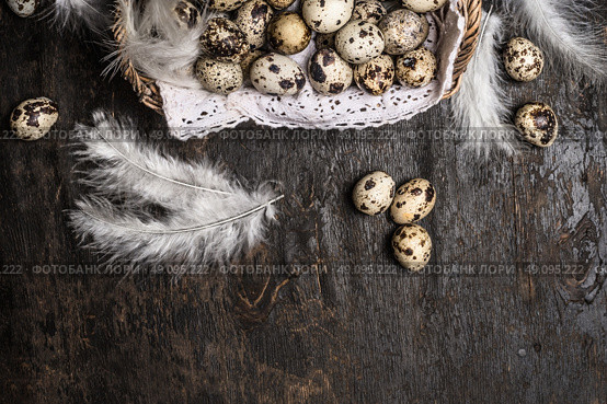 Basket with quail  eggs and feathers on rustic wooden background, top view, horizontal. Стоковое фото, агентство Ingram Publishing / Фотобанк Лори