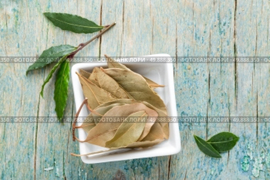 bay leaf. Стоковое фото, агентство Ingram Publishing / Фотобанк Лори