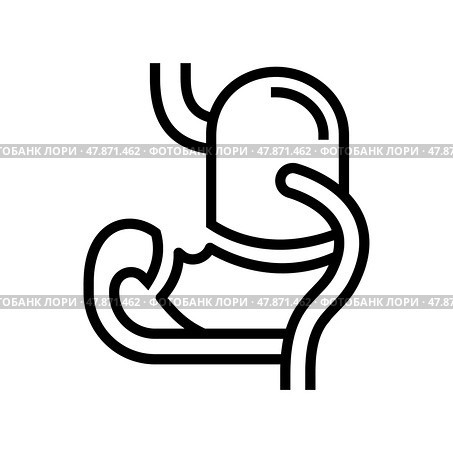 bdp bariatric line icon vector illustration. Стоковая иллюстрация, иллюстратор Vectorwin / Фотобанк Лори