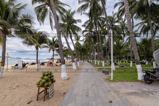 Beach promenade in the center of Nha Trang, VietNam, Asia. Редакционное фото, фотограф Андрей Иванов / Фотобанк Лори