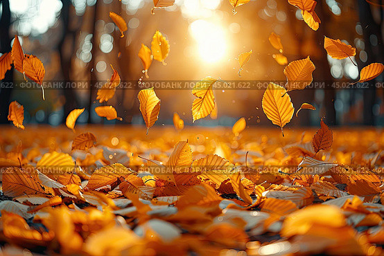 Beautiful autumn landscape with yellow trees and sun. Colorful foliage in the park. Falling leaves natural background. Стоковое AI-изображение, AI-художник Ирина Михайличенко / Фотобанк Лори