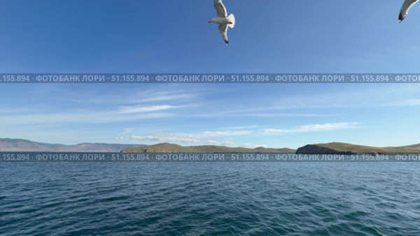 Beautiful Baikal lake landscape in summer. Video of a passenger ferry crossing the Olkhon Gate Strait. Seagulls circling around the ship. Summer trips to Olkhon Island. Natural background. Стоковое видео, видеограф Виктория Катьянова / Фотобанк Лори