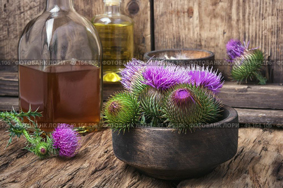 Beautiful blossoming buds thistle. Wild plant thistle also medicinal tincture on a wooden surface. Стоковое фото, агентство Ingram Publishing / Фотобанк Лори