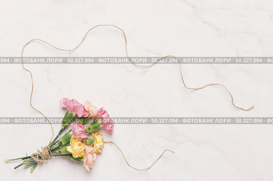 beautiful carnations linen thread white. High resolution photo. beautiful carnations linen thread white. High quality photo. Стоковое фото, агентство Ingram Publishing / Фотобанк Лори