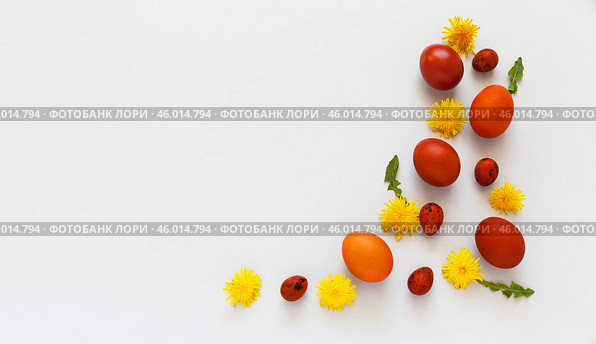 Beautiful Easter composition with yellow dandelion flowers and painted red Easter eggs on white background. Empty space for greeting text or holiday message. Flat lay, copy space, mockup, top view, blank. Стоковое фото, фотограф Виктория Катьянова / Фотобанк Лори