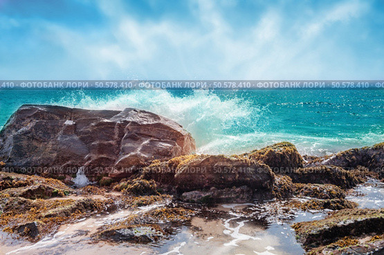 Beautiful  seashore with big stones in Sri Lanka. Стоковое фото, агентство Ingram Publishing / Фотобанк Лори