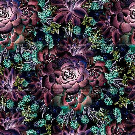 Beautiful watercolor pattern with lavender and succulents. Blackberries. Illustrations.. Beautiful watercolor pattern with lavender and succulents. Blackberries. Стоковое фото, агентство Ingram Publishing / Фотобанк Лори