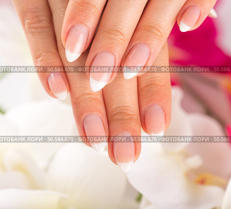 Beautiful woman’s nails, french manicure, close-up.. Beautiful woman’s nails, french manicure. Стоковое фото, агентство Ingram Publishing / Фотобанк Лори
